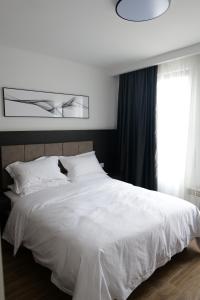 Fotografie z fotogalerie ubytování Kimmiy v destinaci Beograd