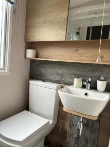 a bathroom with a toilet and a sink at Swift Bordeaux Sea View 10 in Ardentinny +8 photos