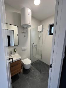 a bathroom with a shower and a toilet and a sink at Conty in Vršac +31 photos