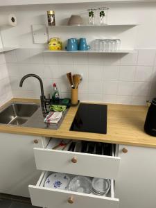 Kuchyň nebo kuchyňský kout v ubytování Studio naast station vlak bij Brussel