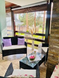 a living room with a couch and a table at Apartman Sanja Divčibare in Divčibare +48 photos