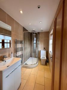 a bathroom with a shower and a toilet and a sink at Minafon in Llanbedr +31 photos
