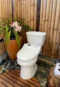 ein weißes WC neben einer Topfpflanze in der Unterkunft Escápate a un bosque mágico Citlalapa in Xico