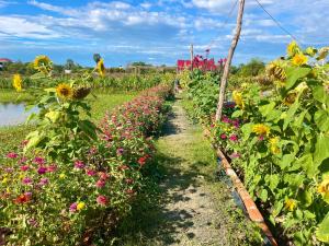 Ảnh trong thư viện ảnh của BK Bungalows ở Kampong Cham