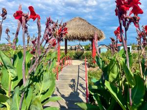 Ảnh trong thư viện ảnh của BK Bungalows ở Kampong Cham