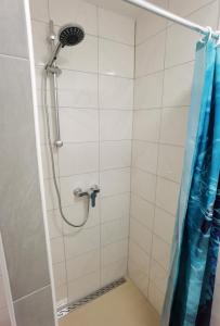 a bathroom with a shower with a blue shower curtain at Ferienwohnung am Backhaus 2 in Weimar