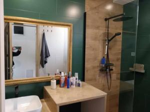 a person taking a picture of a bathroom with a shower at Belvárosi Menedék in Nyíregyháza