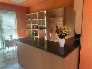Cucina o angolo cottura di 苹果酒店