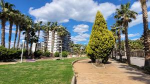 un árbol en un parque con palmeras y un edificio en Mediterráneo Gourmet Stays, en Oropesa del Mar