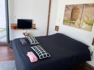 a bedroom with a bed with black sheets and a tv at Magnifique Maison architecturale à l'Océan in Labenne +5 photos