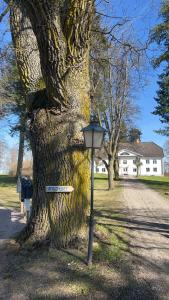 Foto sihtkohas Linköping asuva majutusasutuse Brygghuset galeriist