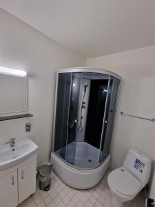 Koupelna v ubytování Ecoland Hotel