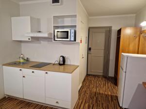 Kuchyň nebo kuchyňský kout v ubytování Ecoland Hotel
