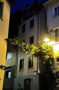 a building with a bunch of leaves on it at night at Zeller Kehr Wohnung in Zell an der Mosel