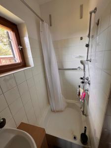 a bathroom with a shower and a sink at Kircher Hütte in Diex