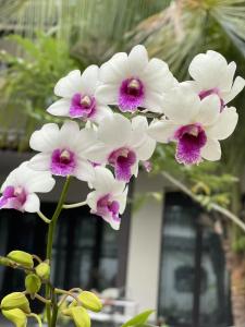Сад в Lanyuan Xiaozhu-New Chinese Courtyard B&B