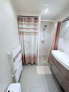 a bathroom with a shower and a sink at Appartement T2 avec Piscine 300m plage et crique in Le Pradet +13 photos