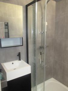 a bathroom with a shower and a sink and a shower at Agréable, jardin, toute équipée, proche du marché, plage à 300m in La Baule +24 photos