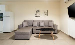 Χώρος καθιστικού στο Elysee apartment 5