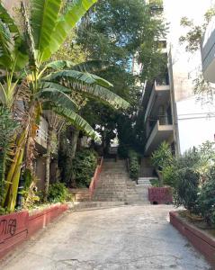 アテネにあるAristofanis 3bdr 4th floor Apartment in Pagratiのヤシの木の並ぶ建物へ続く階段