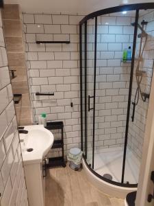 a bathroom with a shower and a sink at No 5 Accommodation in London +13 photos