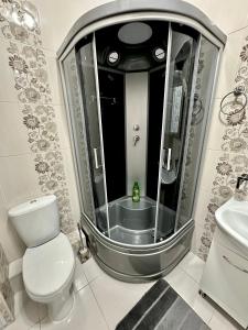 a bathroom with a shower and a toilet and a sink at Майлина 10 аэропорт in Turksib