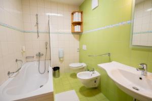 a bathroom with a sink and a tub and a toilet at Apartmaji Bar Smučar in Ribnica na Pohorju