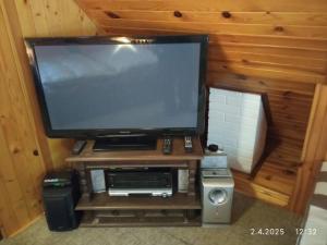 TV a/nebo společenská místnost v ubytování Chata Všemily