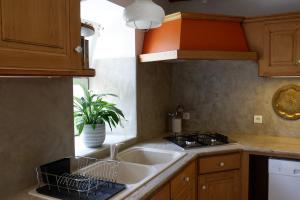una cucina con lavandino e una pianta sul bancone di Nature, Calme et Volupté, Maison Félicie a Girgols