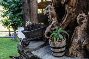 a potted plant in a pot on a stone wall at La Posada de Cucayo in Dobres