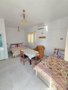 Fotografie z fotogalerie ubytování Summer Tale Rooms v destinaci Lezhë