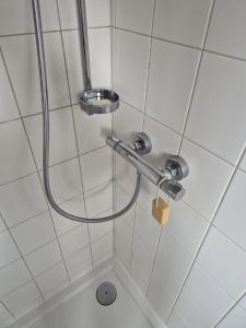 a shower with a shower head in a bathroom at Ferienwohnung mit Stil in Georgenthal