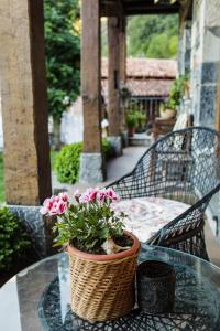 a potted plant sitting on a glass table on a patio at La Posada de Cucayo in Dobres