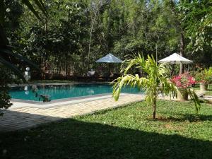 a swimming pool with a palm tree and umbrella at Refresh Cabana Gardens in Kataragama