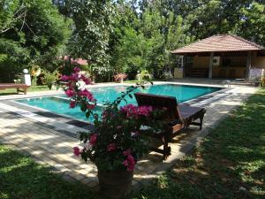 Hồ bơi trong/gần Refresh Cabana Gardens +37 ảnh