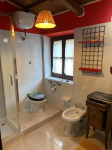 a bathroom with a toilet and a shower and a sink at Podere Bellavista in Monterotondo