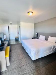 Postel nebo postele na pokoji v ubytování OYO Garden Inn and Suites Pearsall I-35 East