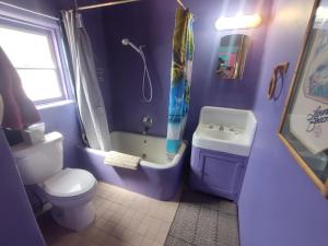 a bathroom with a toilet and a shower and a sink at Pelican Spa in Truth or Consequences +40 photos