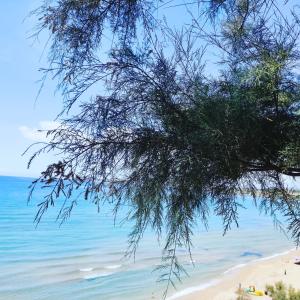 a view of the beach from under a tree at Villa Smeraldo - Appartamento Fronte Mare a Capo Rizzuto in Capo Rizzuto