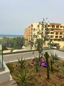 スースにあるLuxueux appartement en bord de merのギャラリーの写真 +24枚の写真