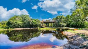a view of a pond with a house in the background at Teniqua Treetops in Sedgefield
