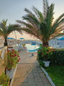 Bazén v ubytování Hotel Bianca Orchidea nebo v jeho okolí