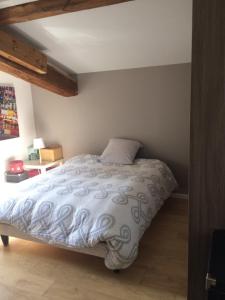 a bedroom with a large bed in a room at LES GITES CHEROIS maison familiale 13 personnes in Les Chères +23 photos