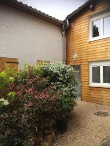 a large bush in front of a house at LES GITES CHEROIS maison familiale 13 personnes in Les Chères