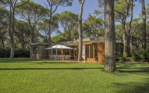 a small house in a field with a tree at Villa Lanzini in Casa Mora