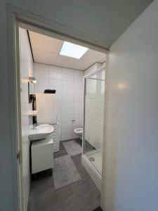 a bathroom with a toilet and a sink and a shower at 86 1 City Appartement in Enschede