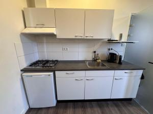 86 1 City Appartement في أنسخديه: مطبخ أبيض مع حوض وموقد +صورتان