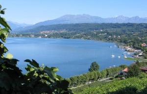 a view of a large lake with boats in it at Emma Lake Apartment lago di Viverone in Viverone