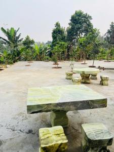 a group of picnic tables in a park at Fishing Farm Homestay in Xóm Soi (1)