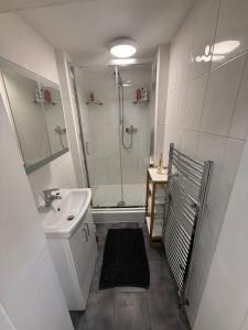 une salle de bain avec douche et lavabo dans l'établissement One Bedroom Flat in Central Edinburgh Old Town , Heart of Edinburgh Flat Sleeps 6, à Édimbourg 36 autres photos